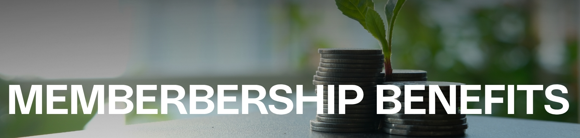 NEUAGE Health + Wellness — Member Benefits